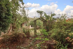 Photo 3- click for photo gallery